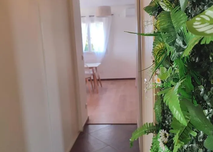 Jolie Location Chez Philippe & Karine * Linguizzetta